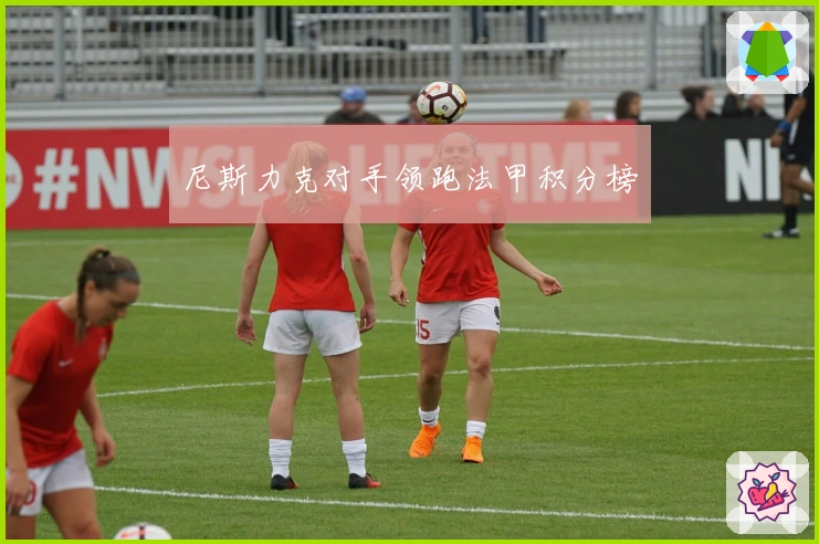 尼斯力克对手领跑法甲积分榜